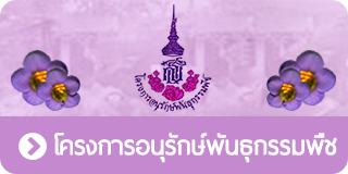 โครงการอนุรักษ์พันธุกรรมพืชอันเนื่องมาจากพระราชดำริ